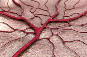 angiogenesis